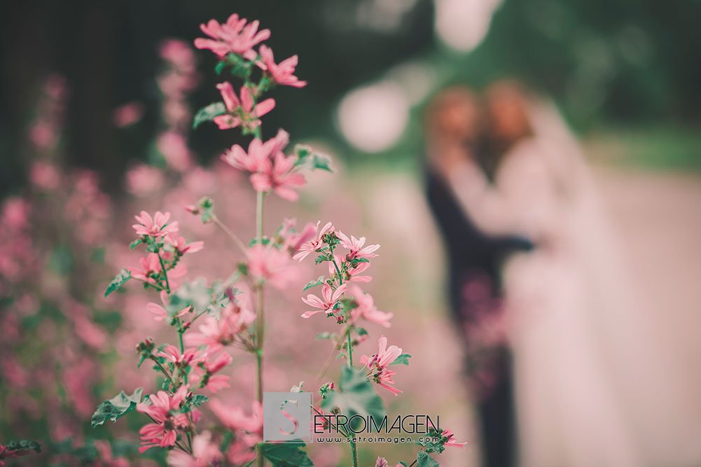 boda-hipodromo-zarzuela_setroimagen_ivan-itziar_077