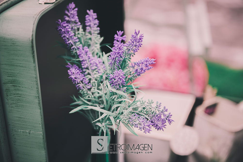 boda-prados-moros_setroimagen_davidycristina_063